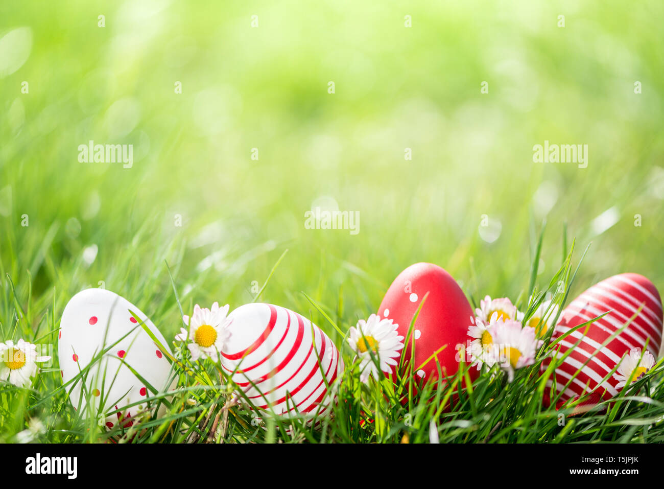 easter eggs in grass and flowers background Stock Photo - Alamy