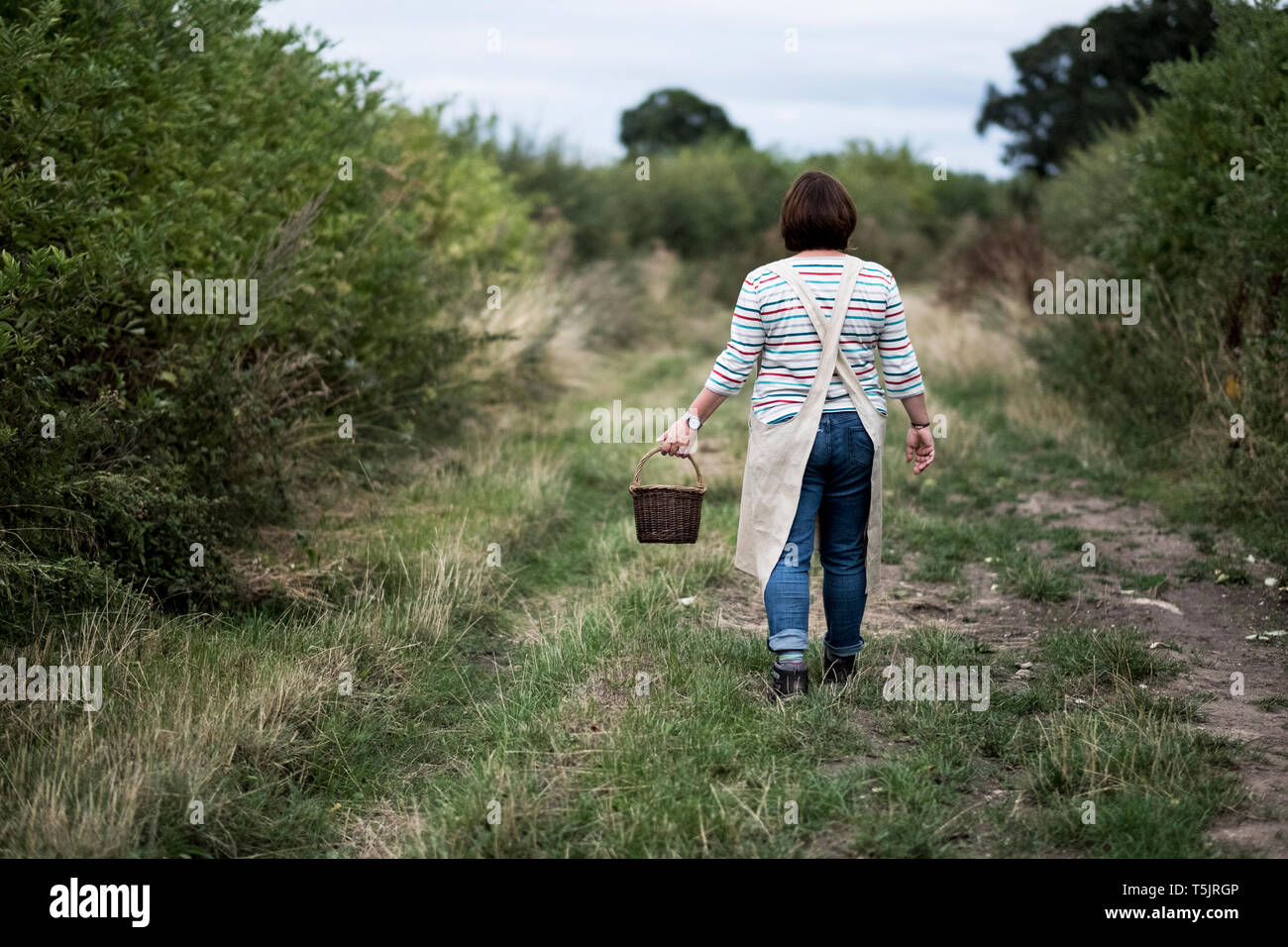 Mature woman carrying basket hi-res stock photography and images - Alamy