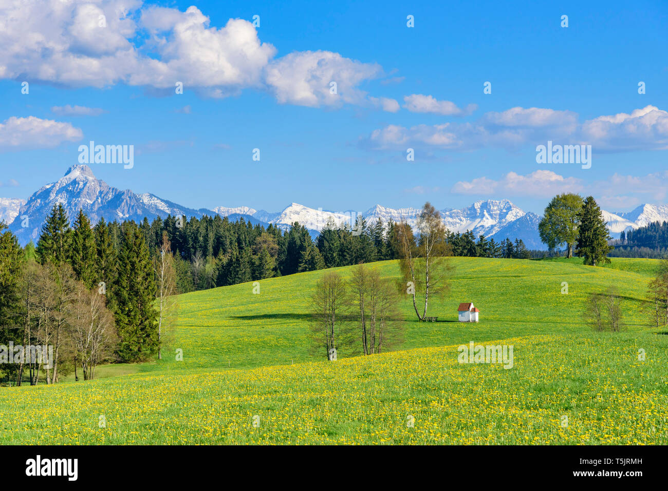 Beautiful nature at the alpine border near Seeg in eastern Allgäu on a springtime afternoon Stock Photo