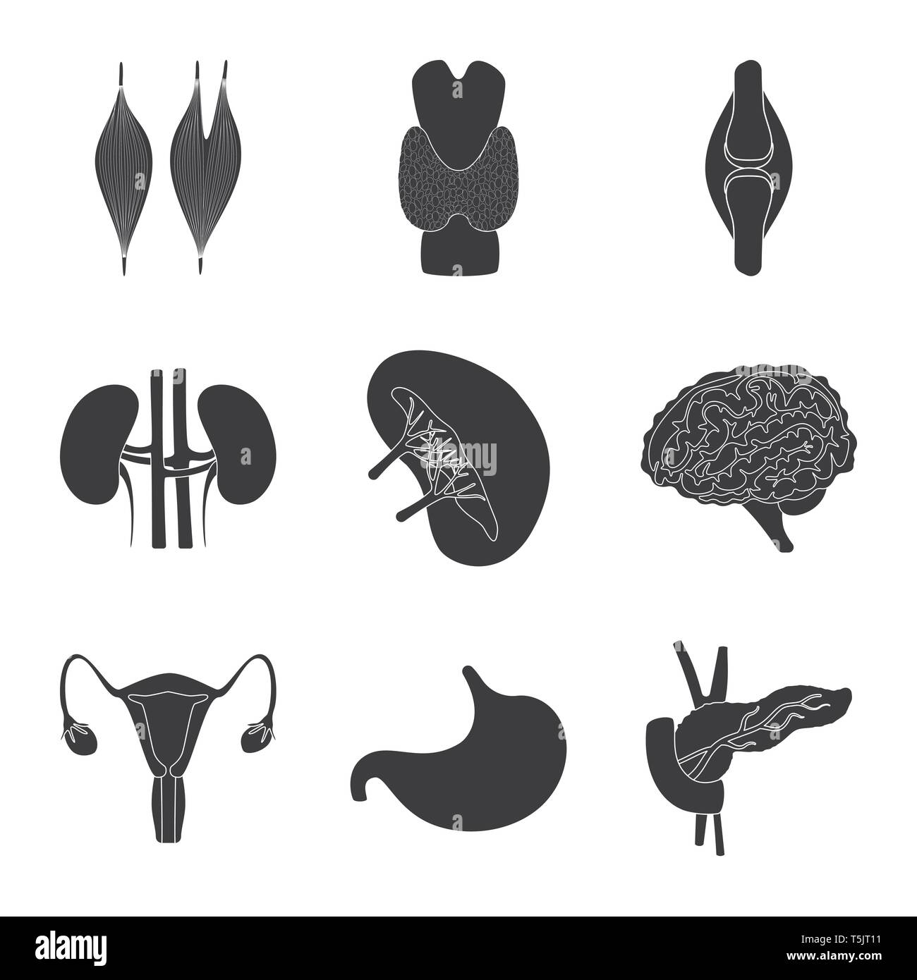 Vector illustration of research and laboratory icon. Collection of ...