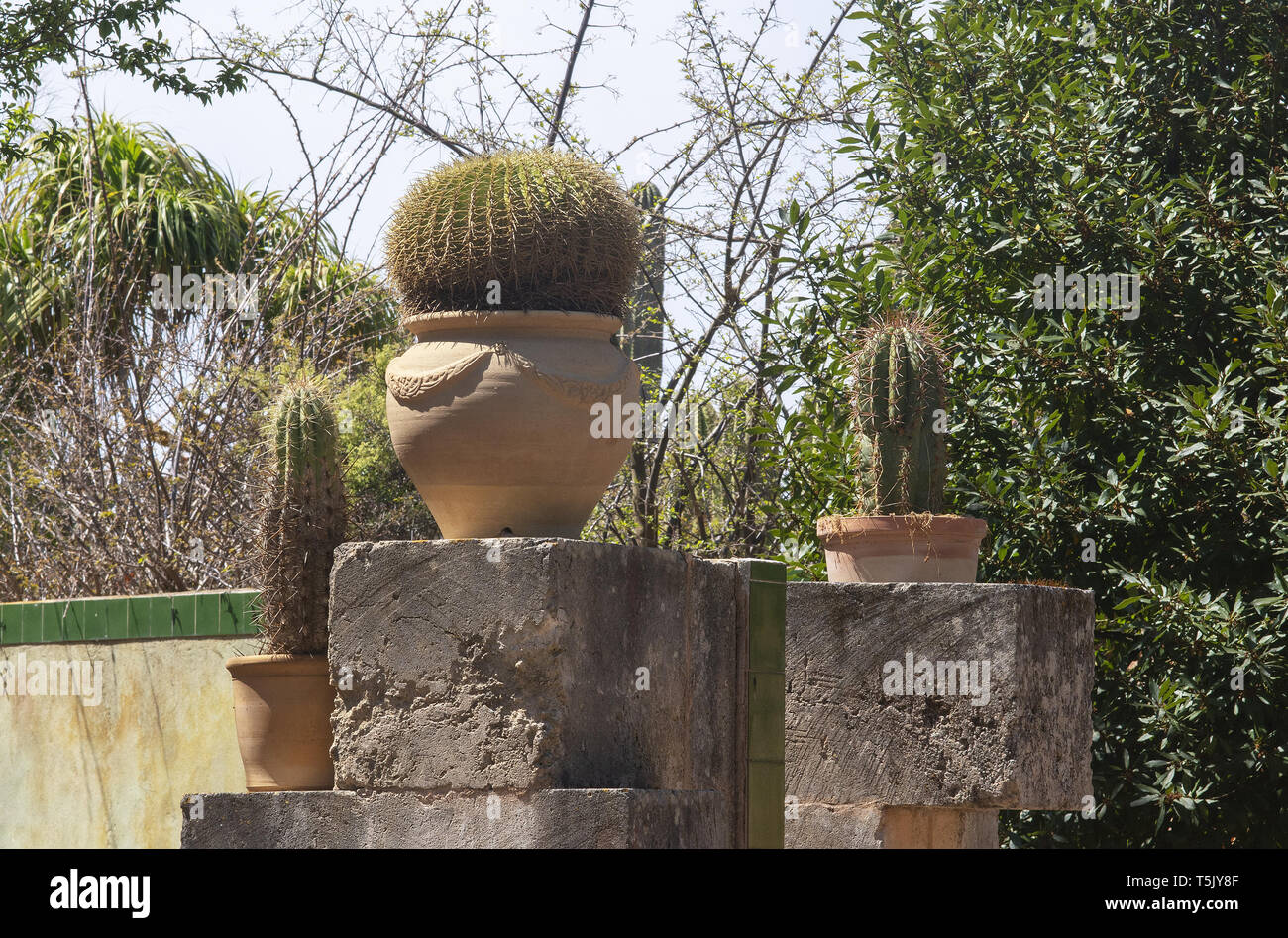 Atmosphera - Cactus De Cerámica Deco H15cm Verdigris | Leroy Merlin