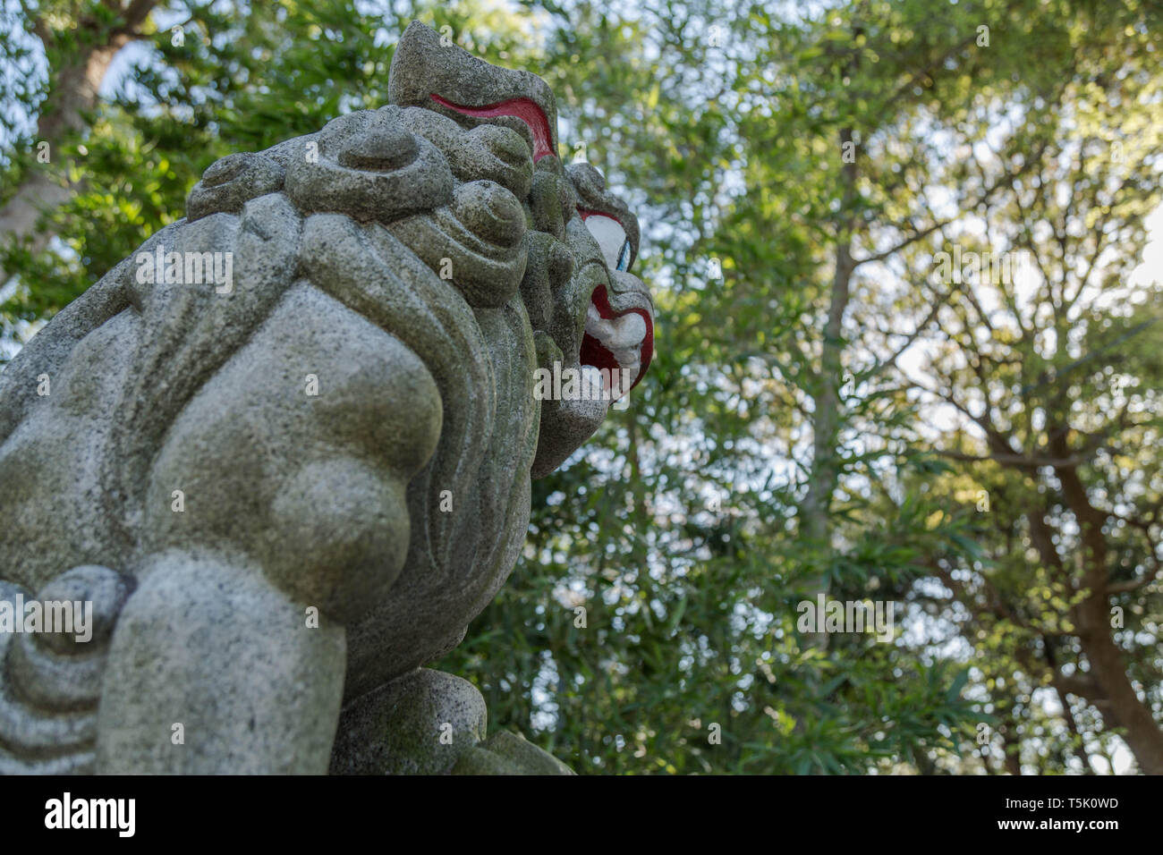A partially painted foo dog called "koma inu" among japanese people guarding the premises of Maginu shrine located in Kawasaki, Japan. Stock Photo