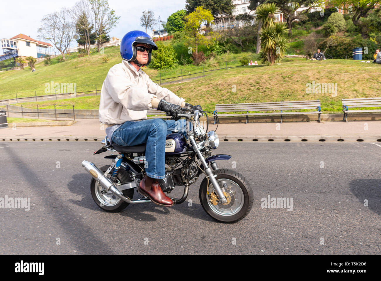 Monkey on motorbike hi-res stock photography and images - Alamy