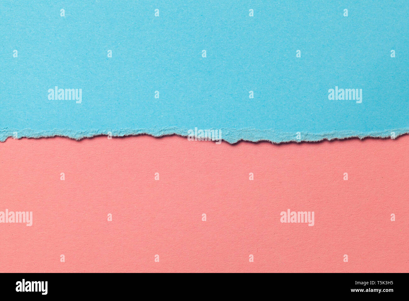 Blue and pink paper background divided horizontally in half. Concept