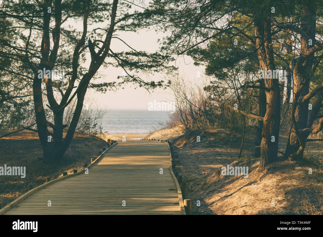 Baltic sea beach path hi-res stock photography and images - Alamy