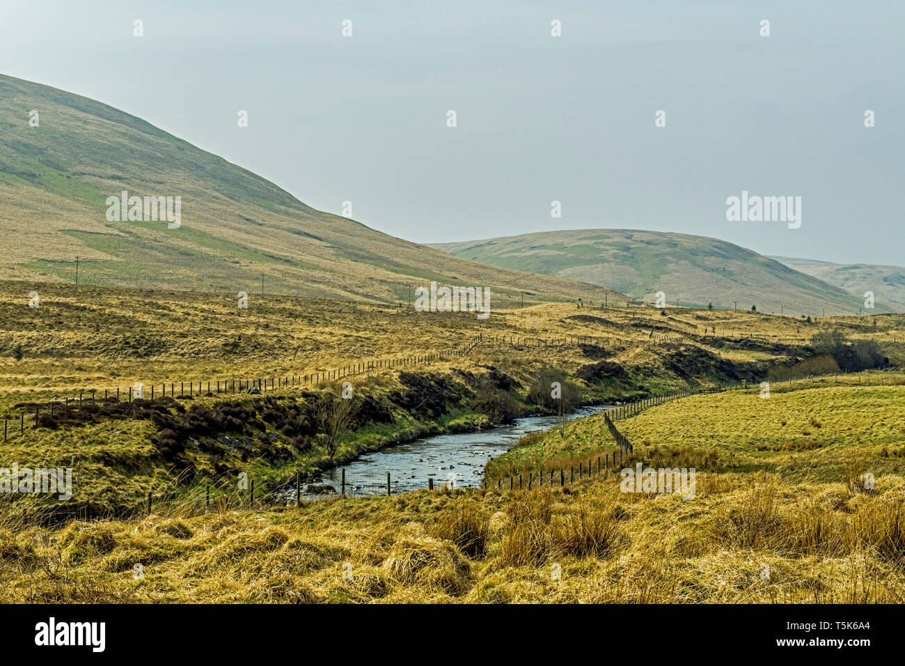 The source of the River Tweed high in the Tweedsmuir Hills in the southern region of Scotland. The hills here appear remote and bleak with landscapes. Stock Photo