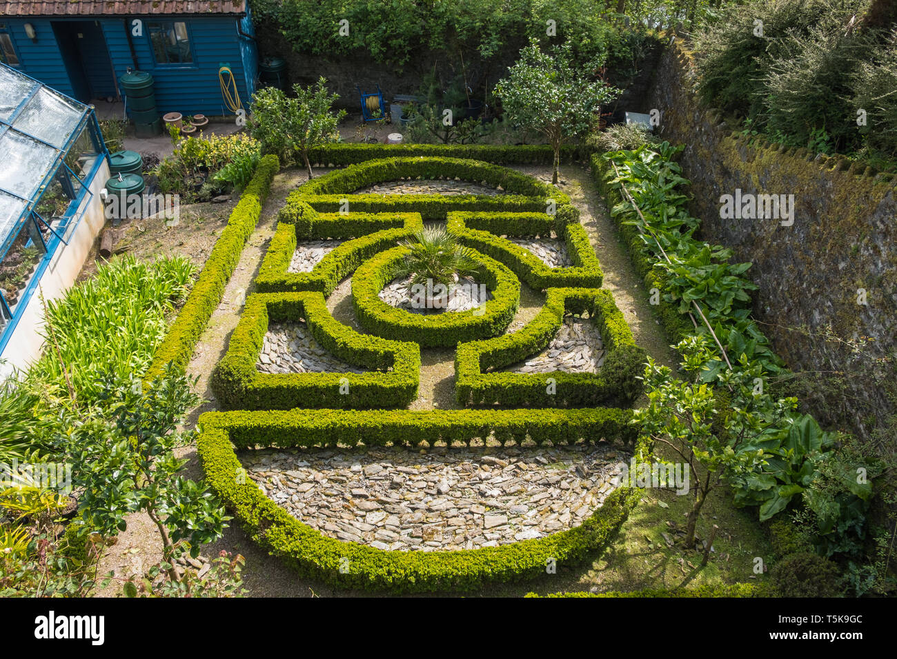 Neat geometric design box hedge viewed from above Stock Photo