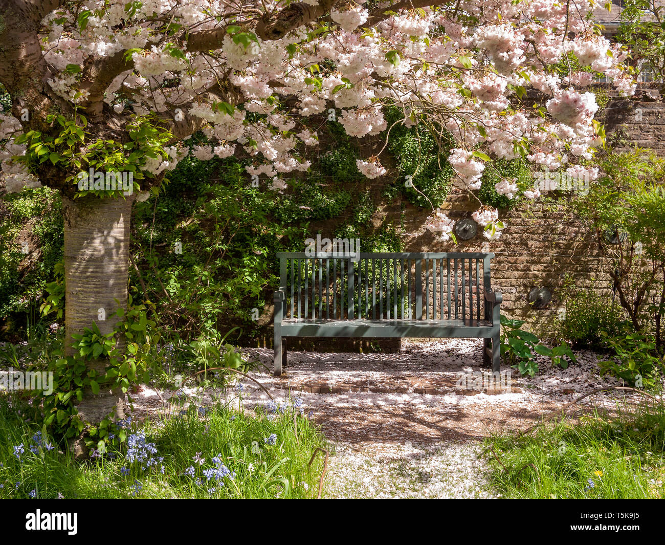 Orchard in Spring time. With green garden bench. Stock Photo