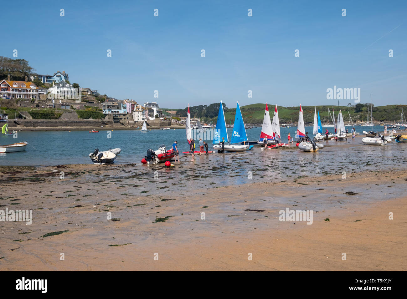 Sailing dinghies lined up on the beach at East Portlemouth on the Salcombe estuary, South Hams, Devon, UK Stock Photo