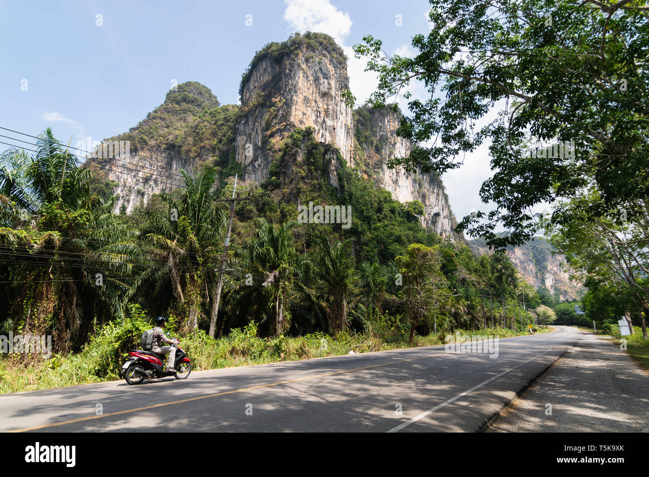 Bearded man riding scooter through the palm tree forest in Krabi, Thailand Stock Photo