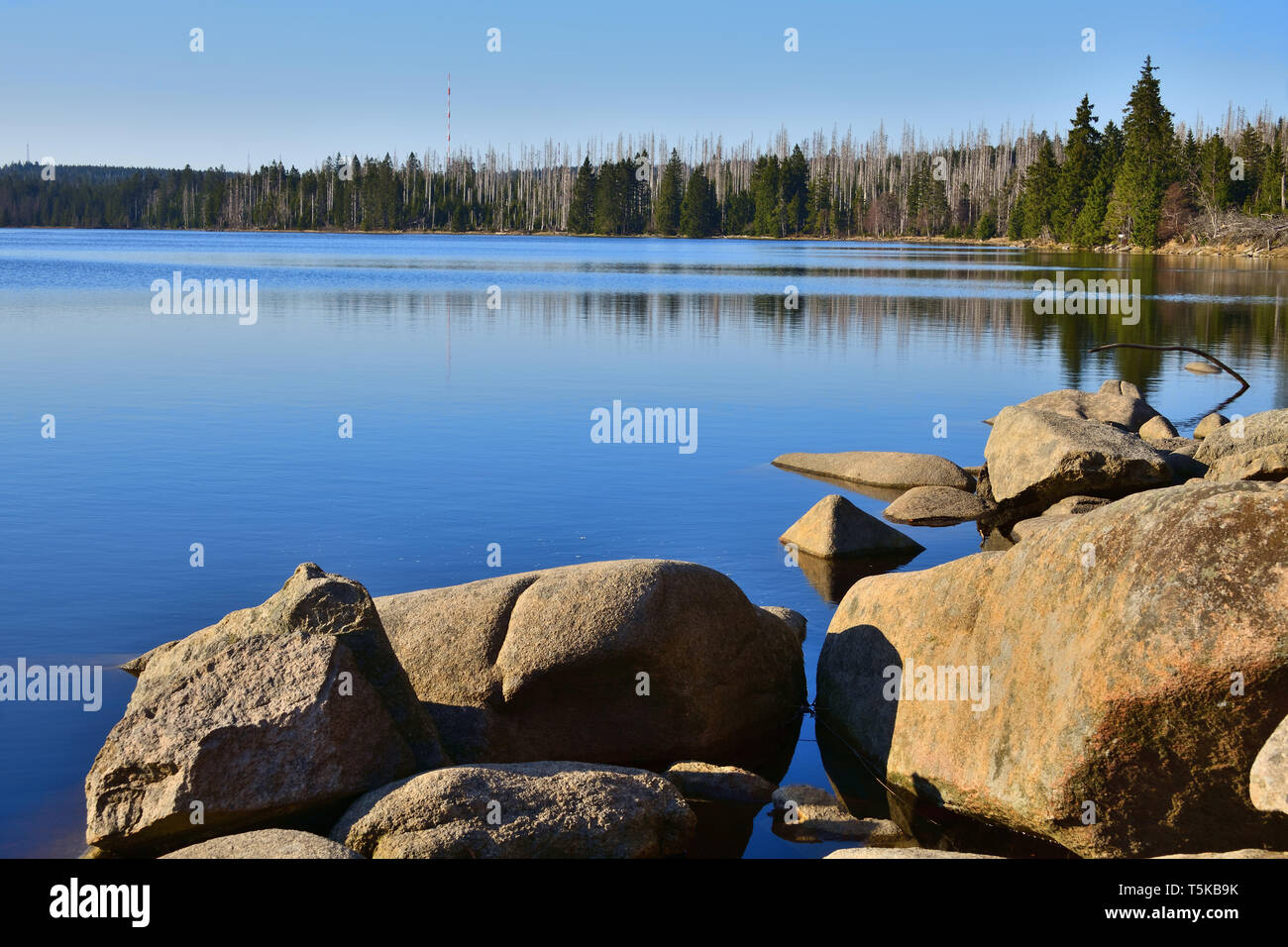 Beautiful lake in the forest. Oderteich historic water reservoir, Harz National Park, central Germany. Stock Photo