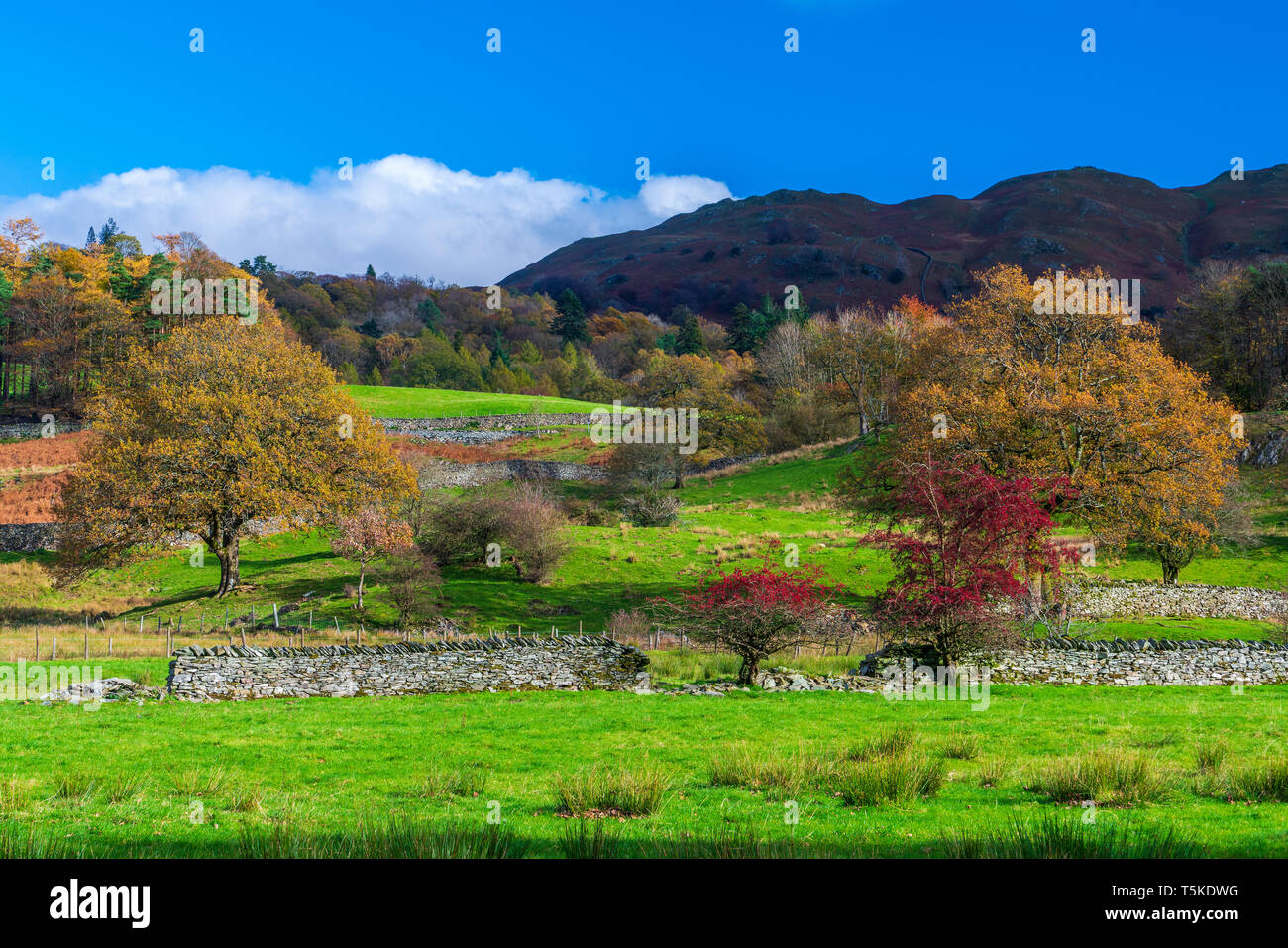 Cumbrian Way from Skelwith Bridge to Elterwater, Lake District National