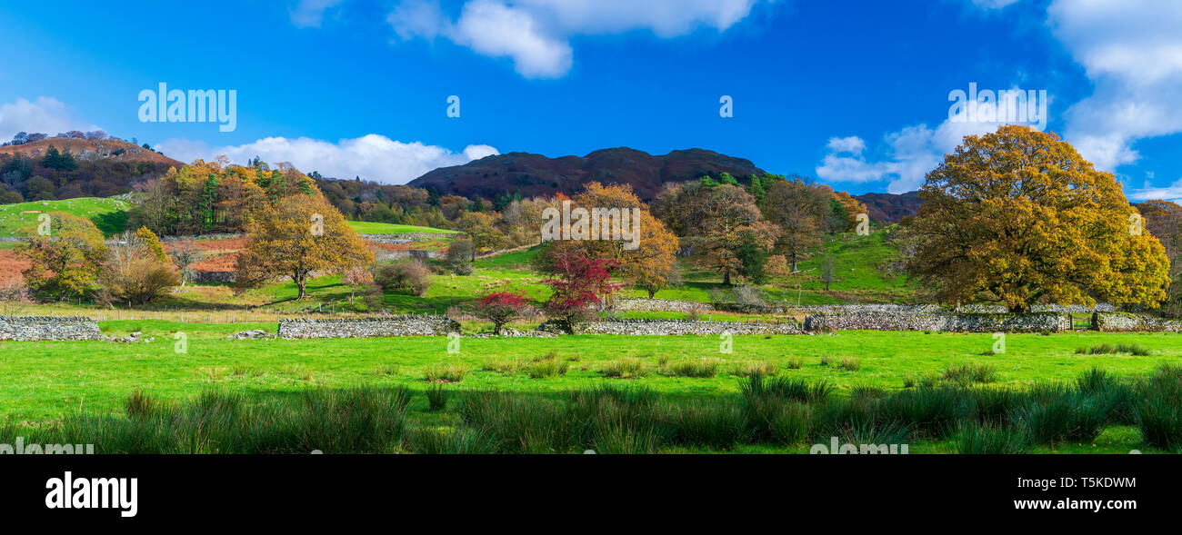 Cumbrian Way from Skelwith Bridge to Elterwater, Lake District National Park, Cumbria, England, UK, Europe. Stock Photo