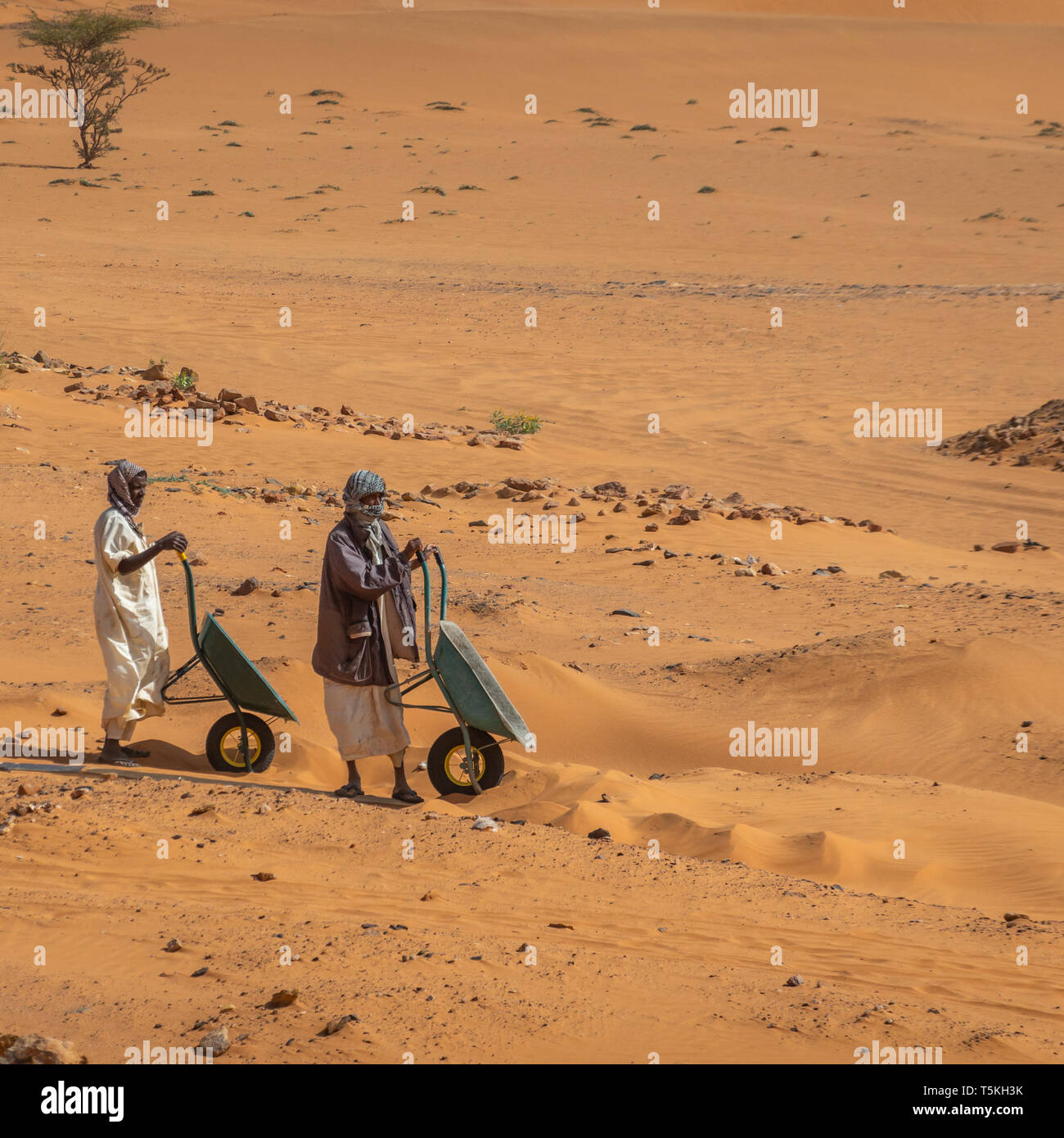 Meroe, Sudan, February 11., 2019: Two local excavation assistants with wheelbarrows during the excavations of Meroe Stock Photo