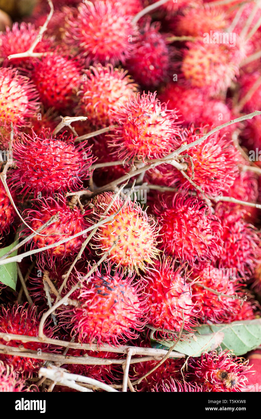 Rambutan fruit in the fruit and vegetable market of Fort de France in Martinique Stock Photo