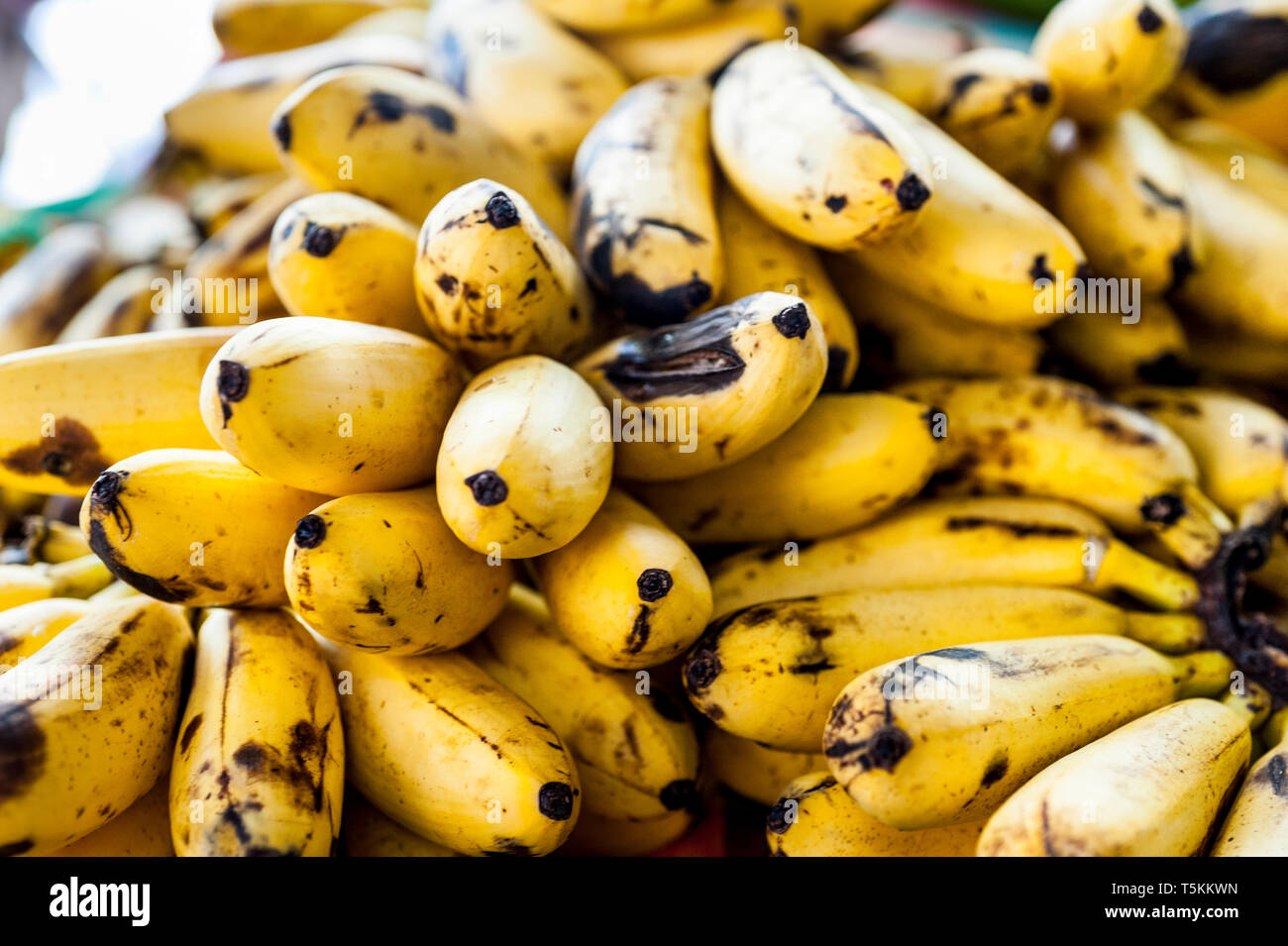 Bananas in the fruit and vegetable market of Fort de France in Martinique Stock Photo