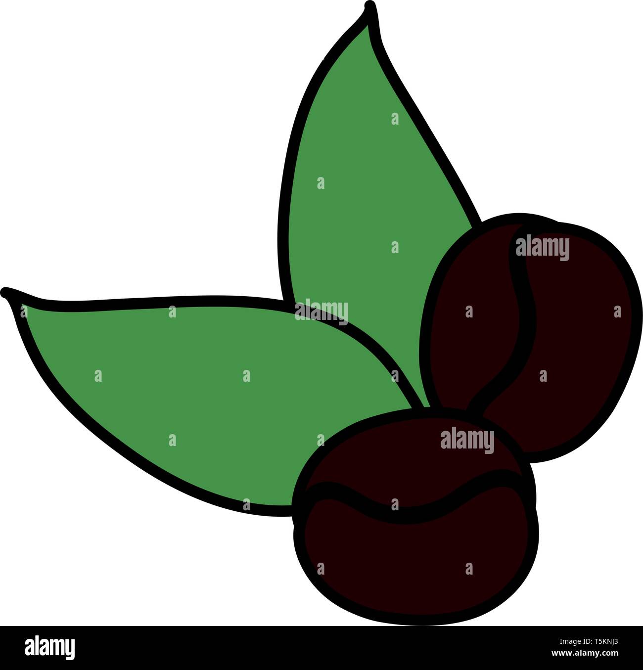 coffee grains and leafs plant vector illustration design Stock Vector ...