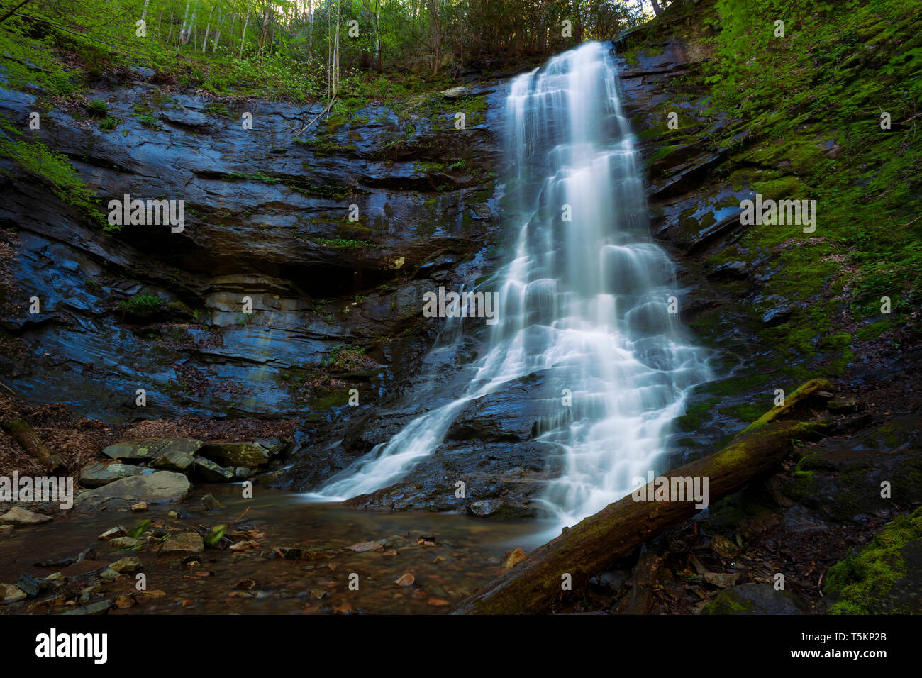 Sill Branch Waterfall after a record breaking spring rain fall in