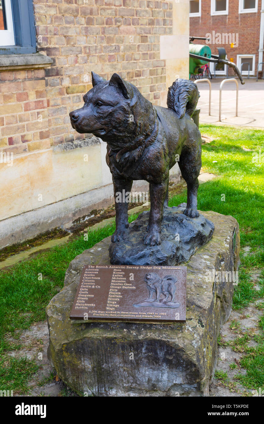 Monument to the sledge dogs from the Scott antarctic survey at the Scott Polar Research Institute, Hills Road, University town of Cambridge, Cambridge Stock Photo