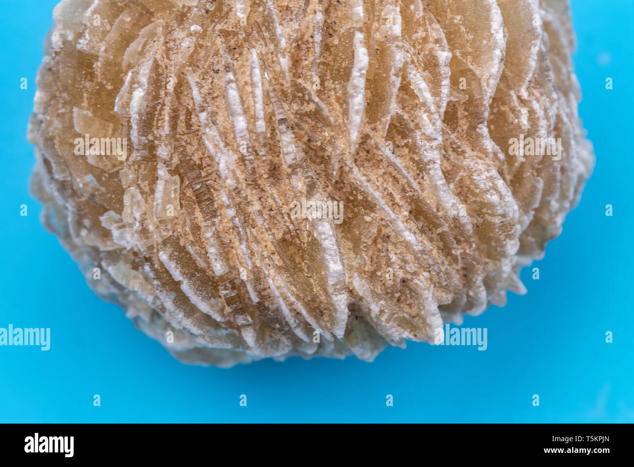 sand rose healing stone close up Stock Photo