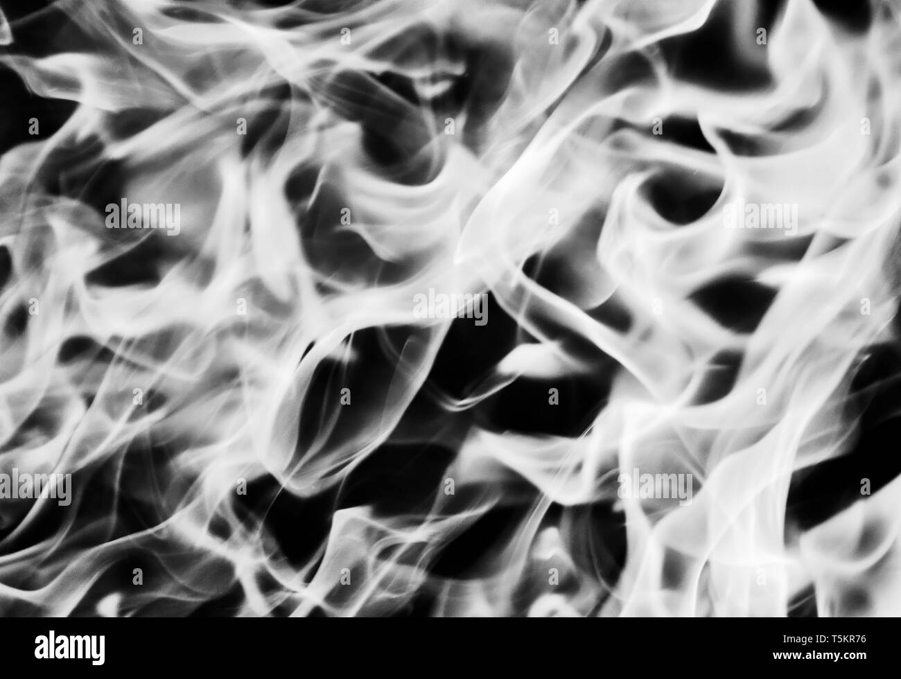 Fire. Wood burning in the fire. Orange flame. Tongue of flame..black and white image. Stock Photo