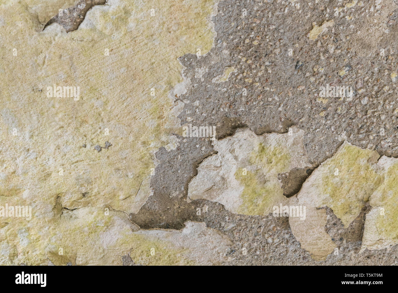 Painted Render Wall Texture High Resolution Stock Photography and