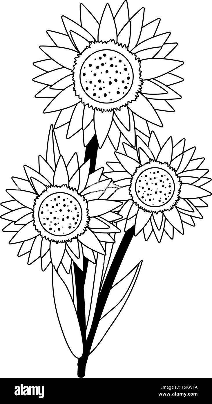 floral sunflower cartoon vector illustration graphic design Stock Vector Image & Art - Alamy floral sunflower cartoon vector illustration graphic design Stock Vector Image & Art - Alamy