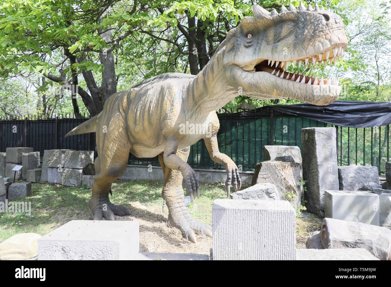 Lifesize dinosaurs' statues are shown during the Living Dinosaurs