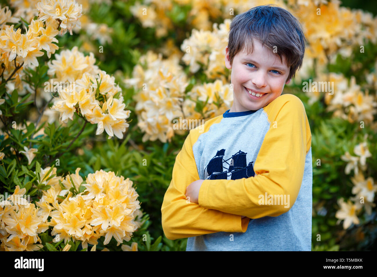 Outdoor spring portrait of cute attractive 10 year old boy posing in the garden next to blossoming yellow Rhododendron Stock Photo