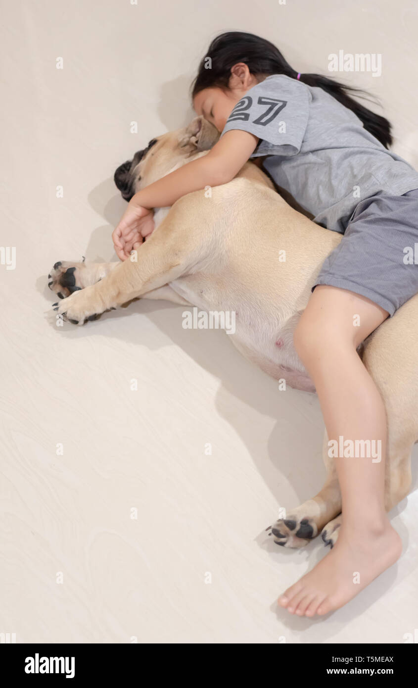 Girl sleep with english bulldog Stock Photo