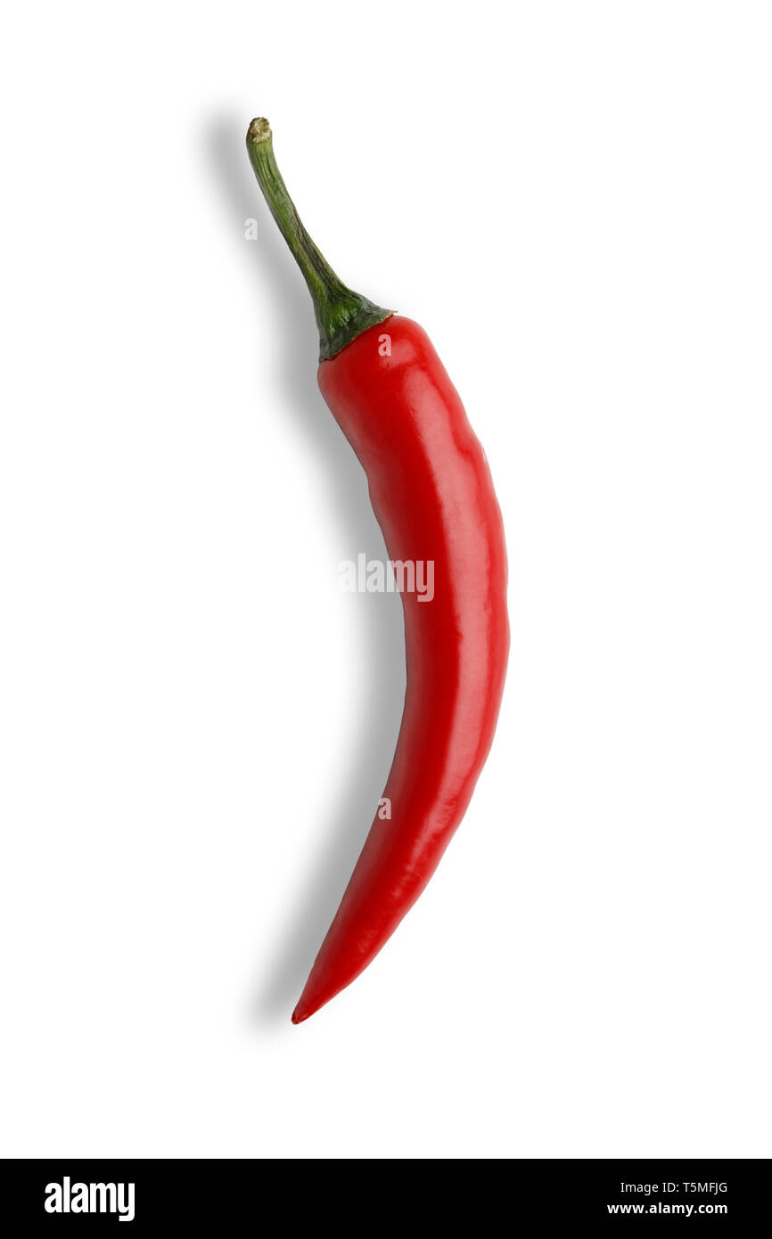Single chilli hi-res photography and -