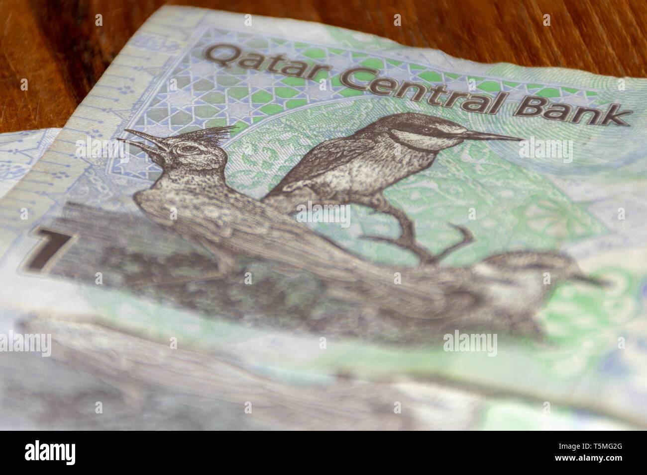 The Currency of the Qatar Riyal notes spread out on the table. Ones. Money exchange. Bee-eater and lark. Stock Photo