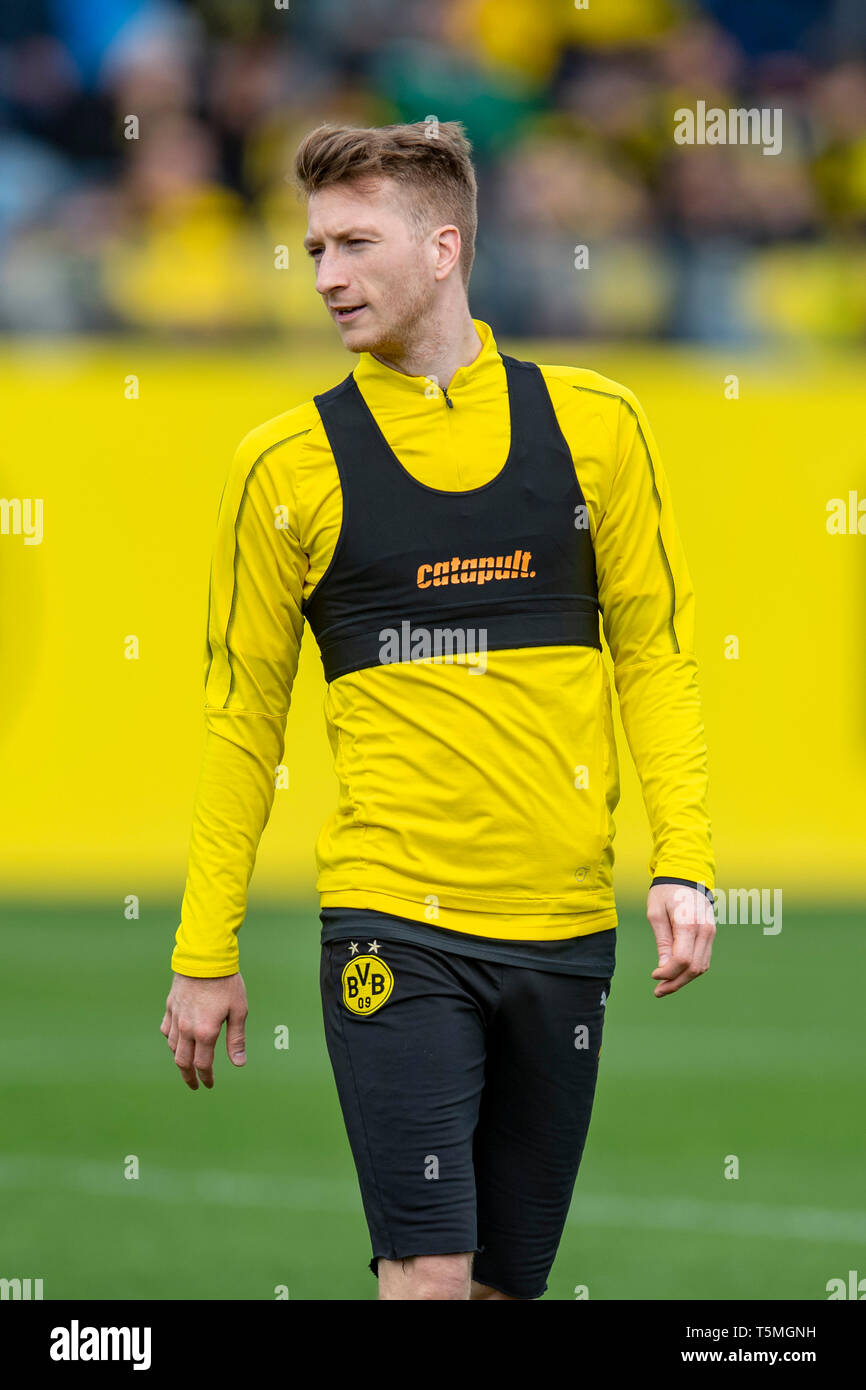 Fußball: 1. Bundesliga, Saison 2018/2019, Training von Borussia Dortmund am 25.04.2019 in Dortmund (Nordrhein-Westfalen).   Dortmunds Marco Reus Stock Photo