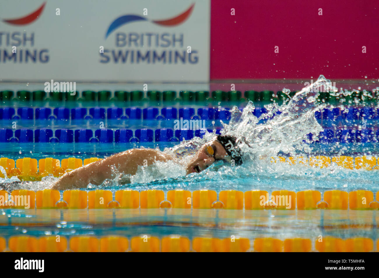 Aimee Willmott (University of Stirling) in action during the women's open 400 metres individual medley final, during Day 1 of the 2019 British Swimmin Stock Photo