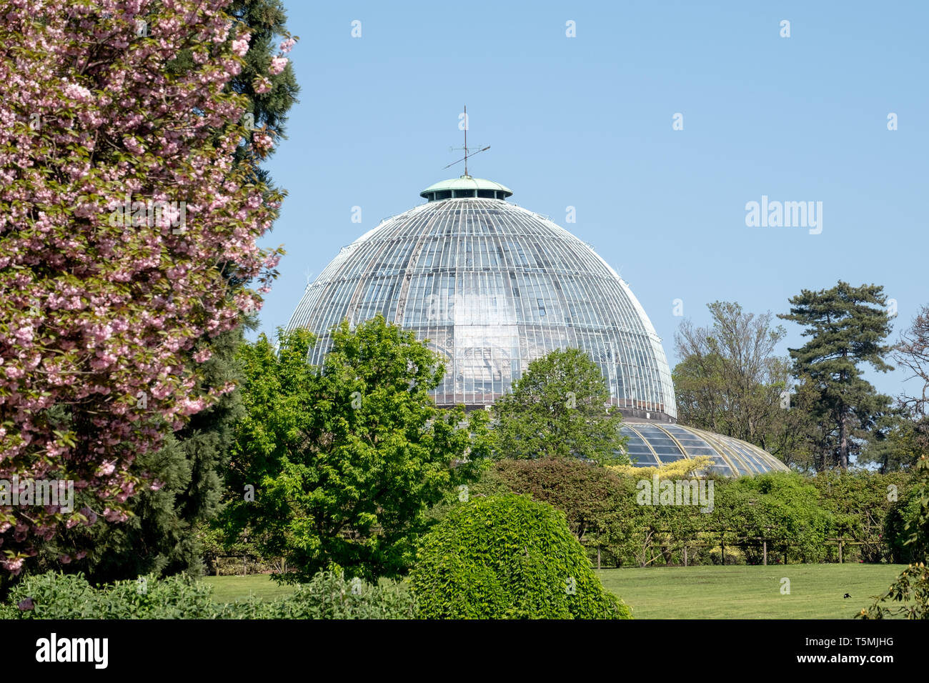 The Royal Greenhouses at Laeken, composed of a complex of a number of greenhouses. The Castle of Laeken is home to the Belgian royal family. Stock Photo