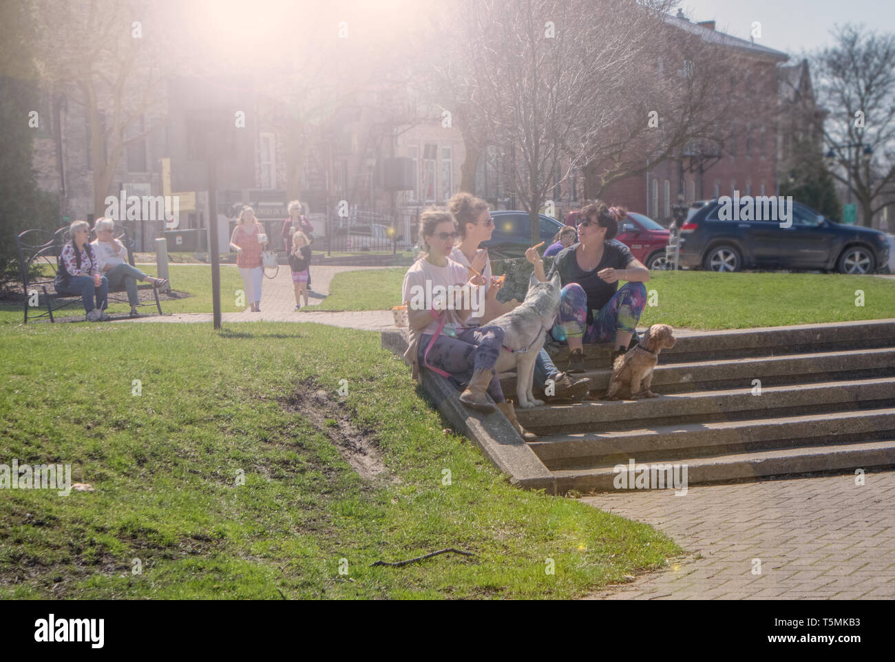 Three ladies sitting on the park stairs with dogs. They are lunching. Sunny day, they wear sun-glasses. Stock Photo