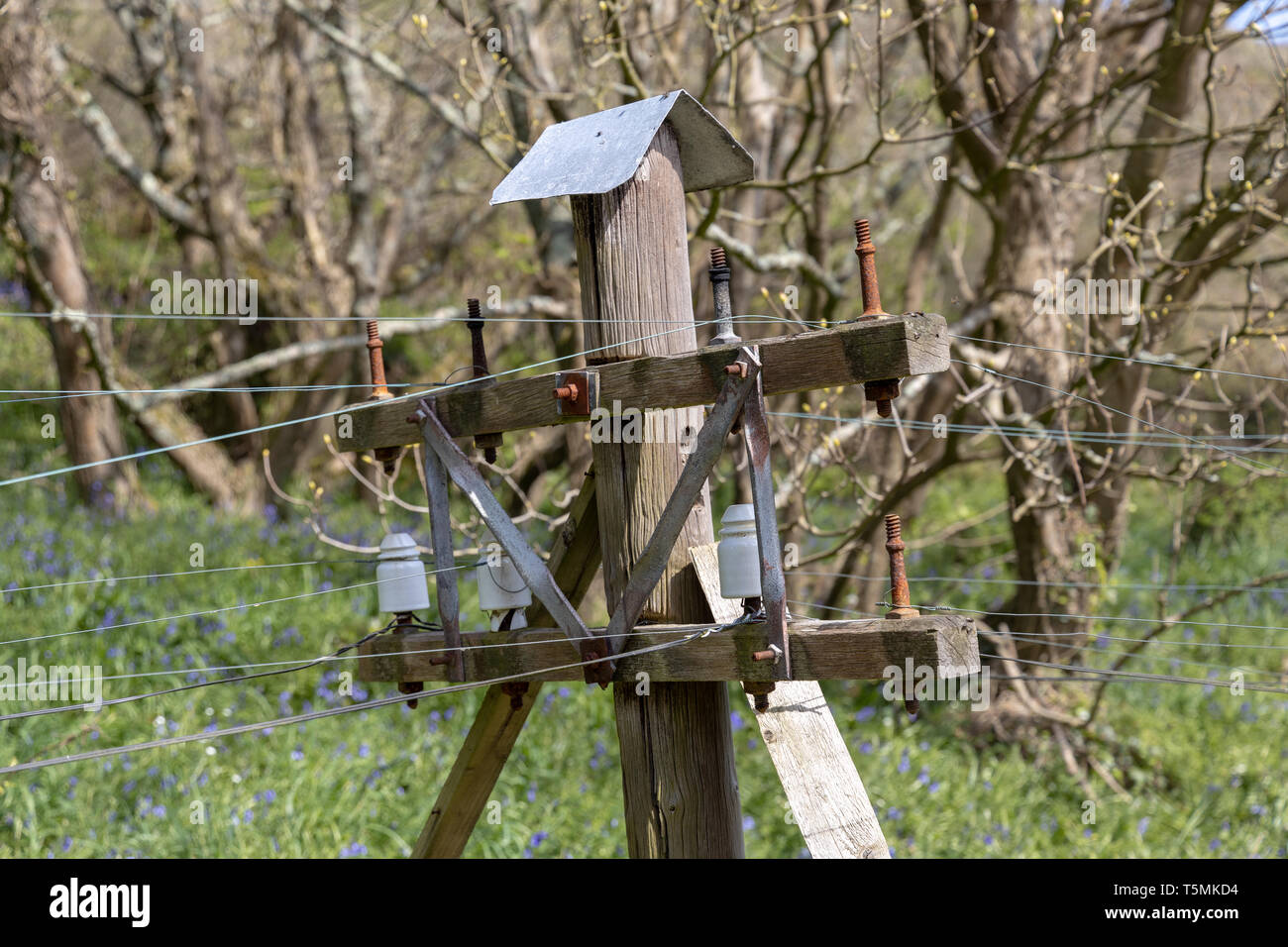 Training telegraph poles at the Telegraph Museum,  Porthcurno, Cornwall UK Stock Photo