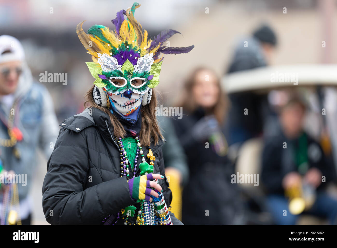 St. Louis, Missouri, USA - March 2, 2019: Bud Light Grand Parade, Man  drinking and wearing a St Louis Cardinals shirt, posses for the camera  during th Stock Photo - Alamy
