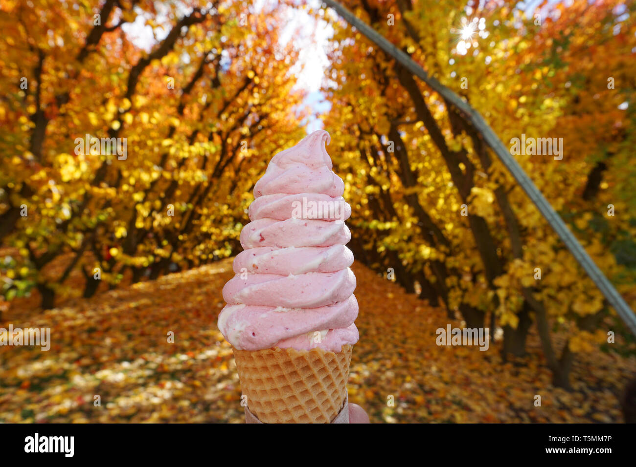 Real fruit ice cream new zealand hires stock photography and images