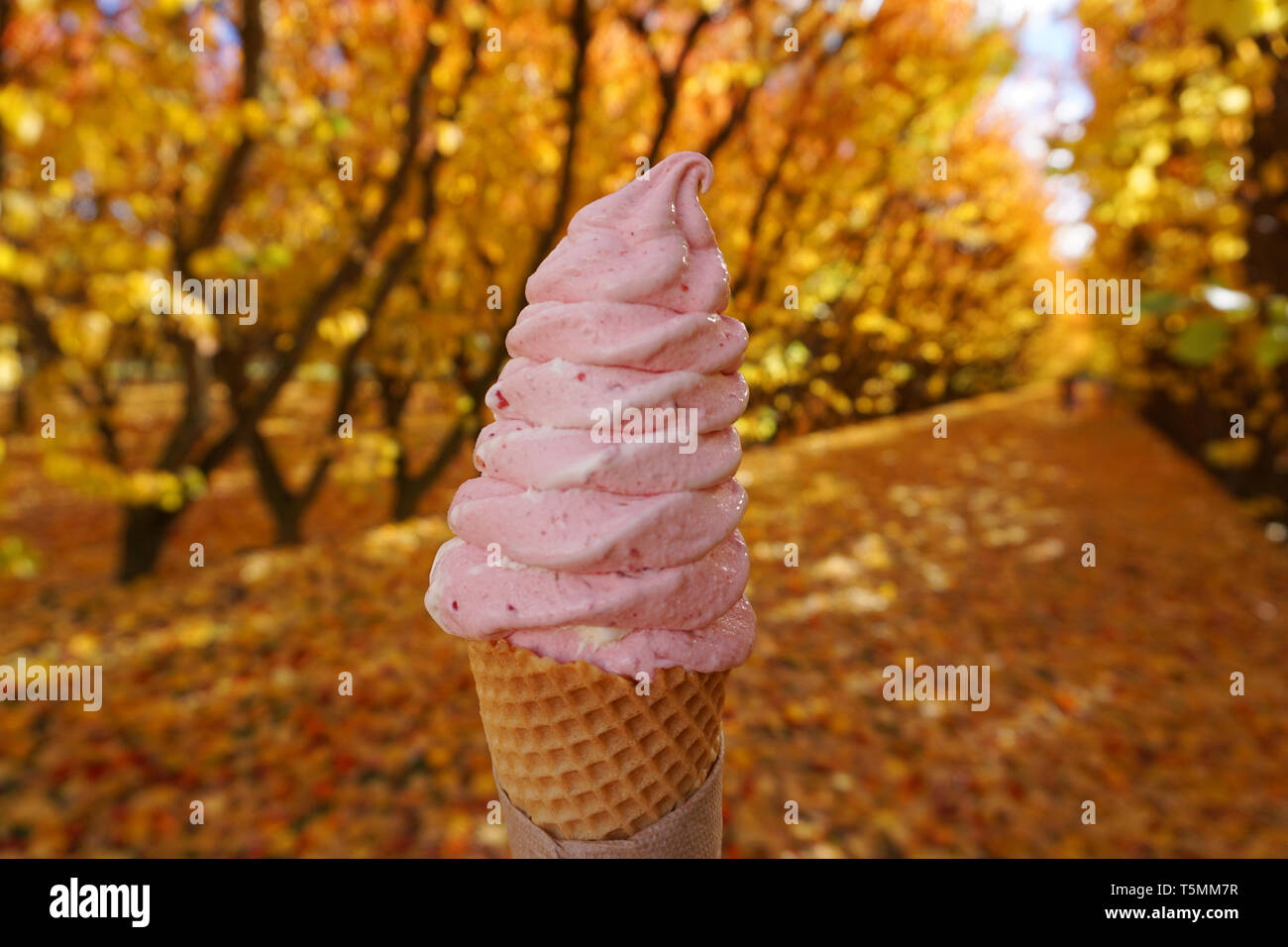 Real fruit ice cream new zealand hires stock photography and images