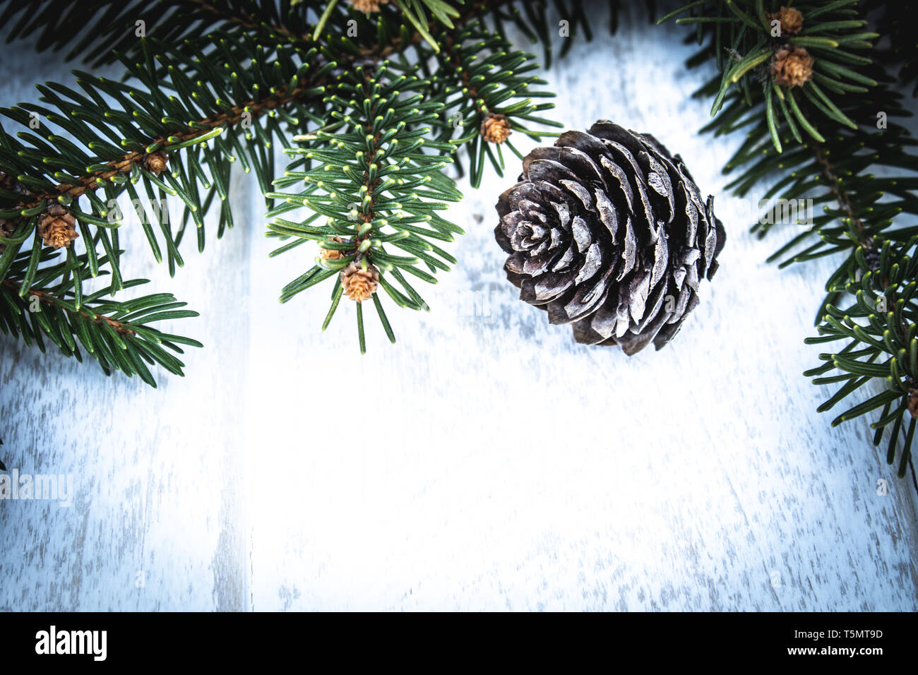 Green branches of a Christmas tree and cones on the background of white ...