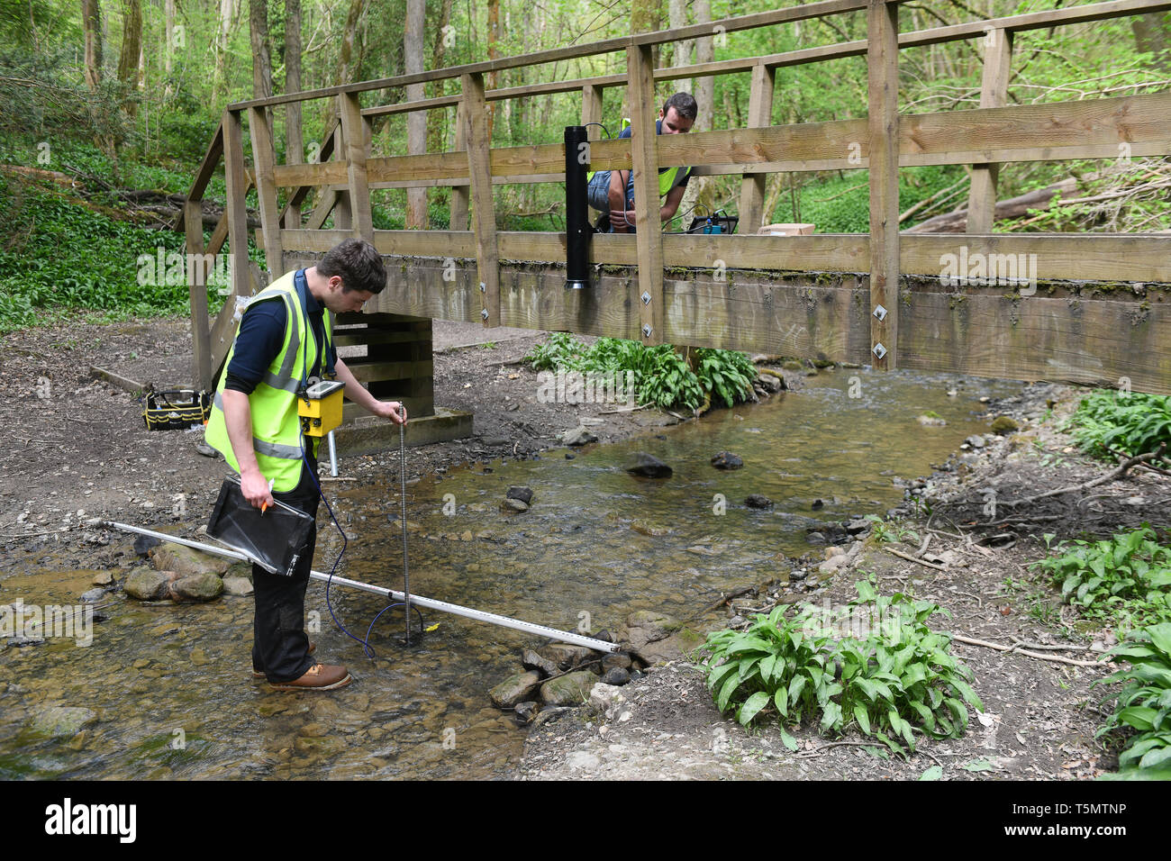 Hydrologists environmental scientists monitoring the flow of Lyde Brook in Loamhole Dingle, Coalbrookdale, Shropshire, Uk Stock Photo