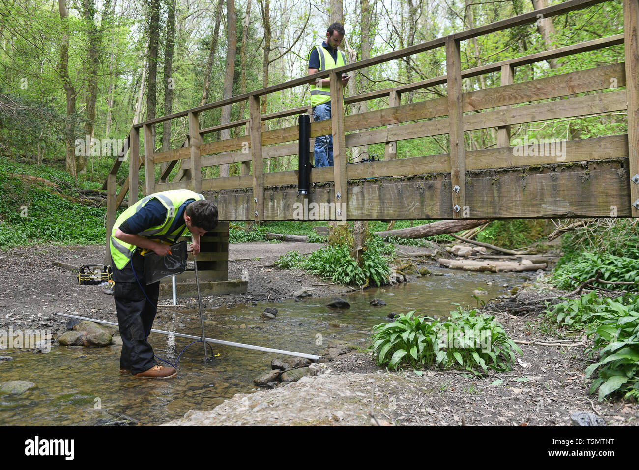 Hydrologists environmental scientists monitoring the flow of Lyde Brook in Loamhole Dingle, Coalbrookdale, Shropshire, Uk Stock Photo