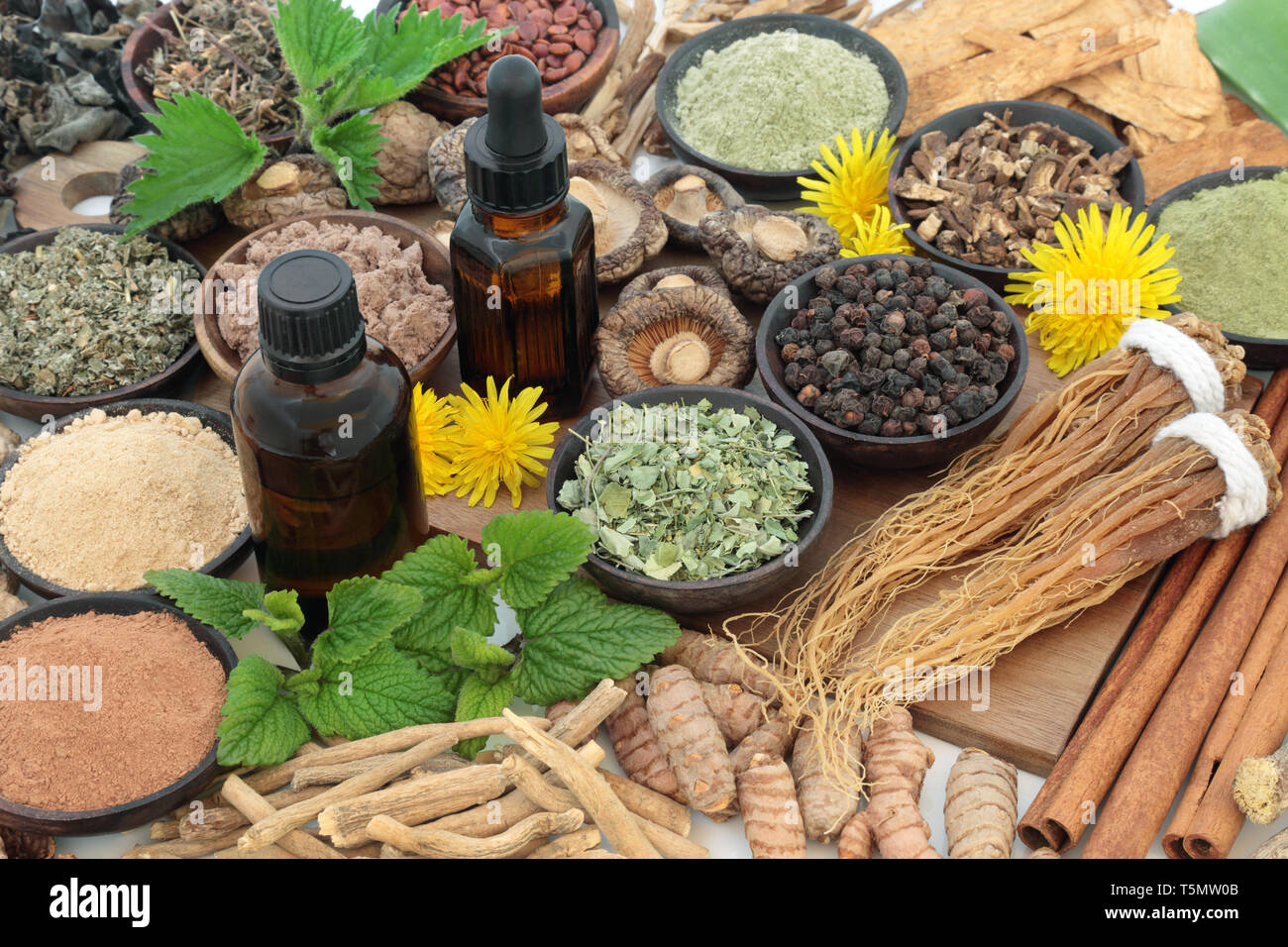 Adaptogen foods with herbs, spices, essential oil & supplement powders.Used in herbal medicine to help the body resist the effects of stress. Stock Photo