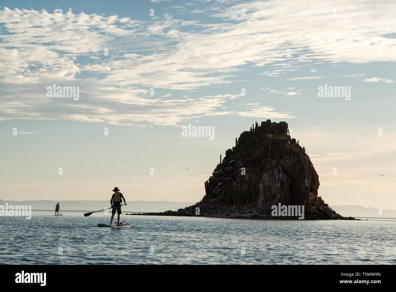 Stand up paddling, Isla Espiritu Santo, Baja California Sur, Mexico Stock Photo