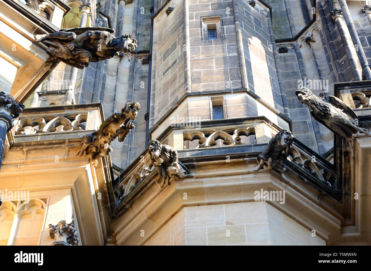 Prague Gargoyles on the facade of St. Vitus Cathedral Stock Photo Alamy