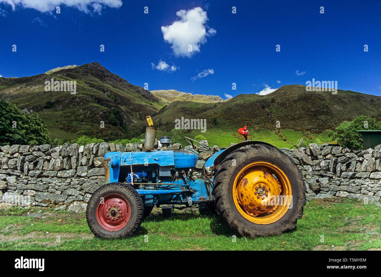 Working Fordson tractor at Glenelg, Scottish Highlands Stock Photo