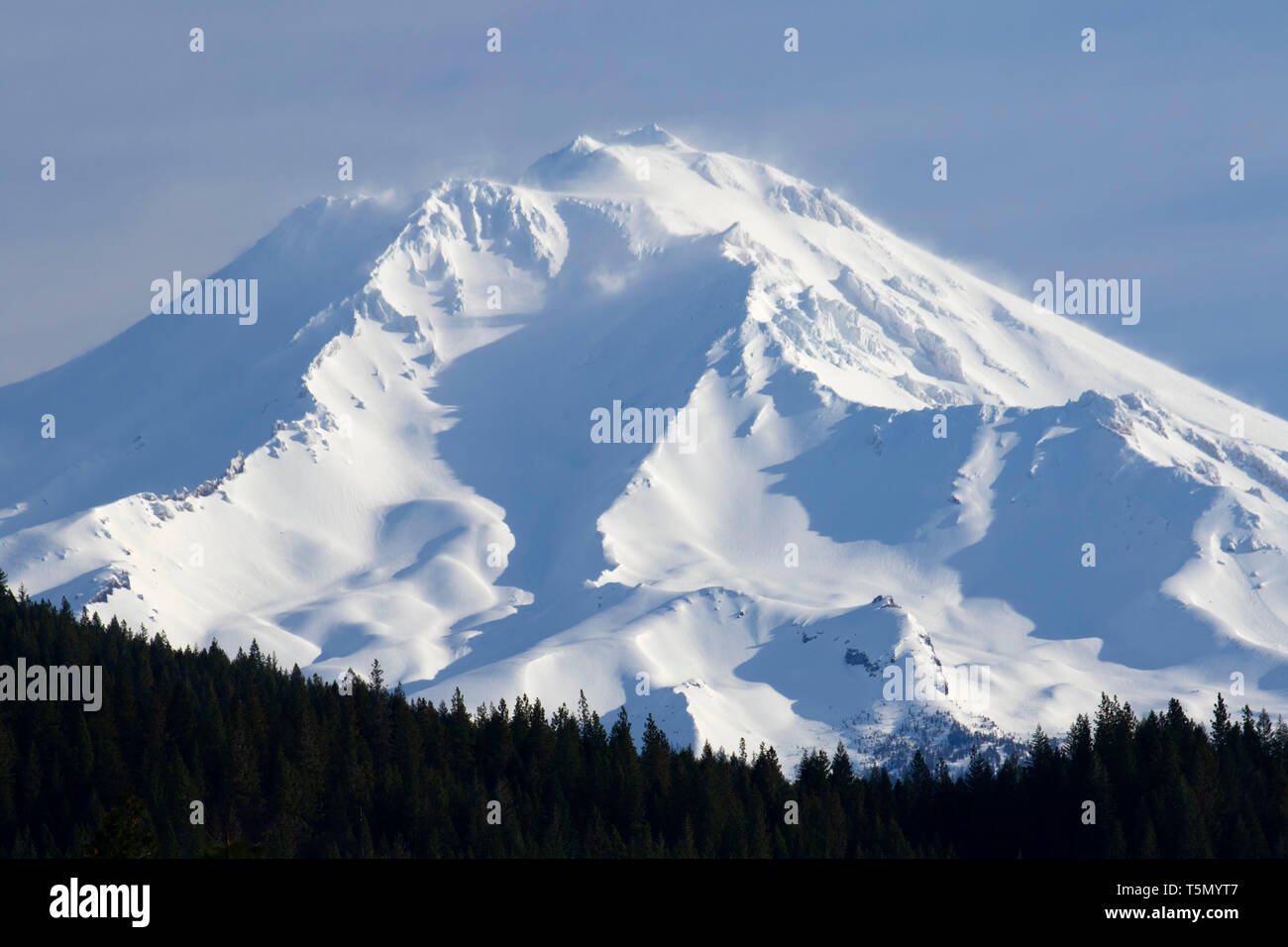 Mount Shasta, Shasta-Trinity National Forest, California Stock Photo