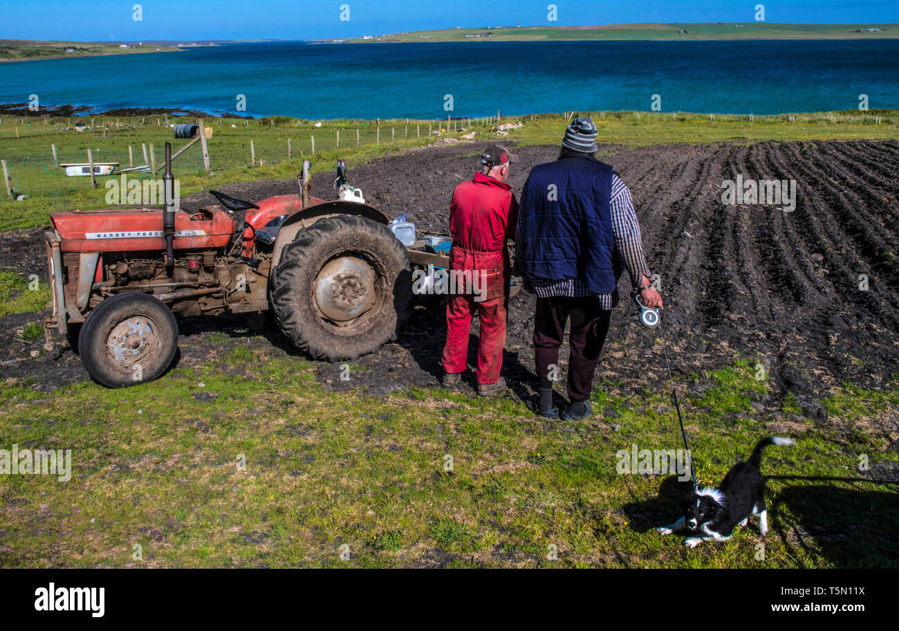 Lyness, crofters, Orkney Stock Photo