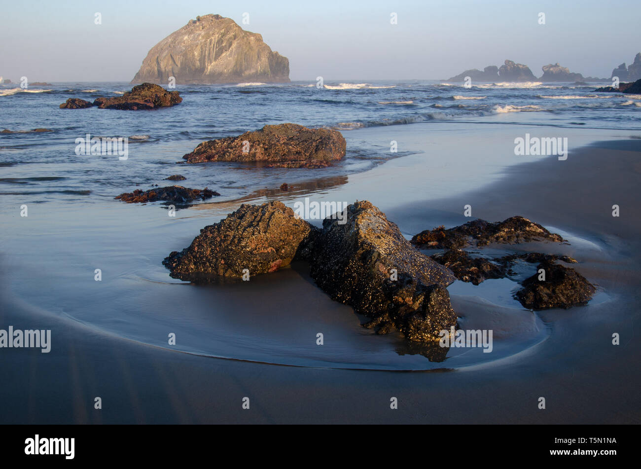 Face Rock at Bandon-by-the-Sea in Oregon Stock Photo - Alamy